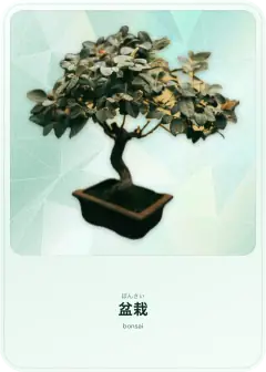 盆栽, ぼんさい, bonsai